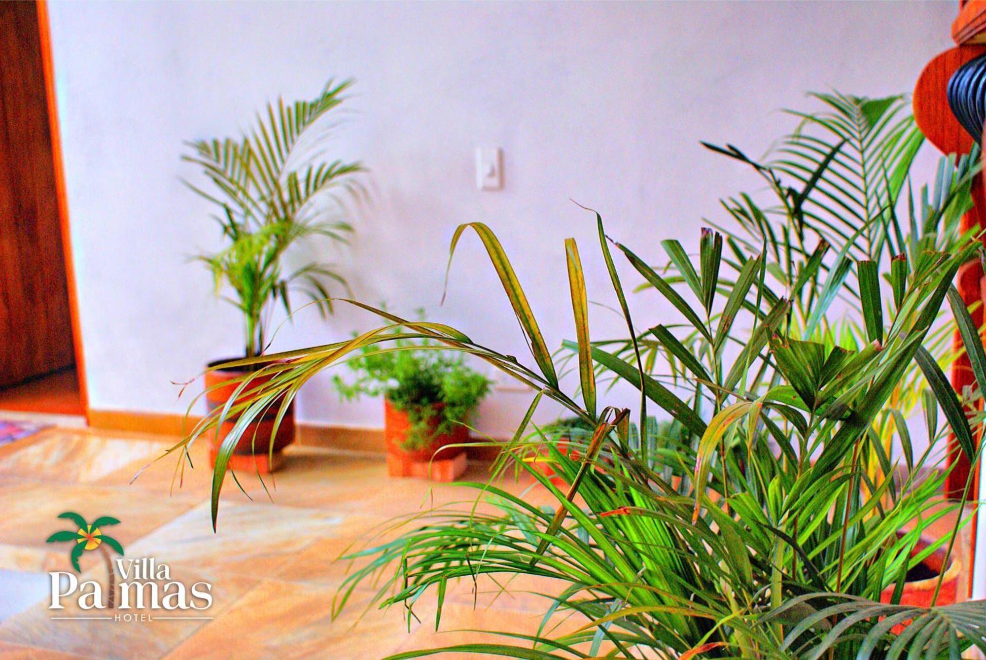 Hotel Villa Palmas Villa de Leyva Exterior foto